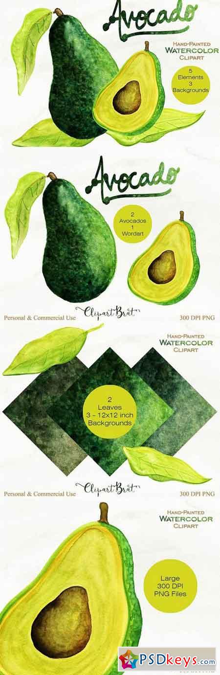 Watercolor Avocado Graphic Set 1255966