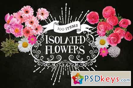 100 Isolated Flower Chalk Kit