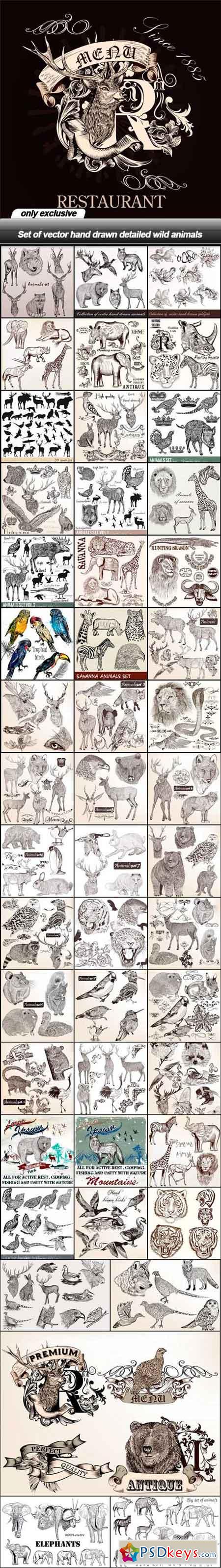 Set of vector hand drawn detailed wild animals - 48 EPS