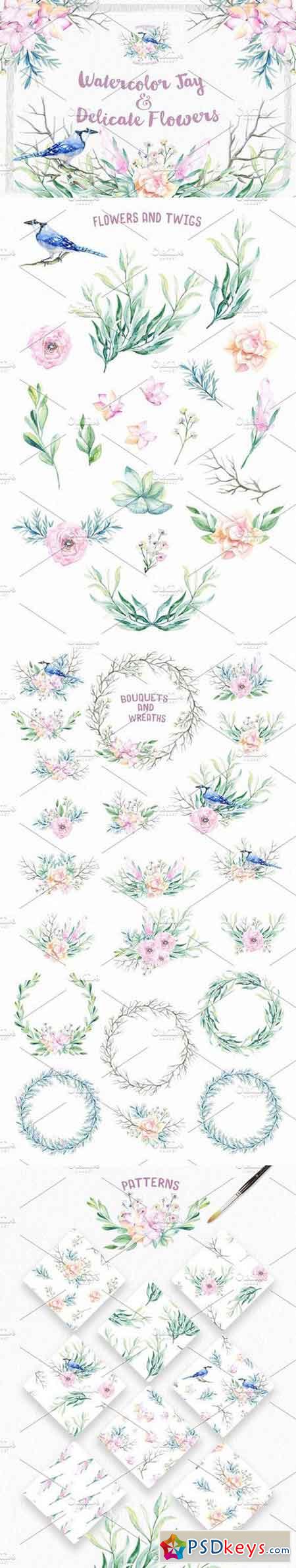 Watercolor Jay & Delicate Flowers 874607