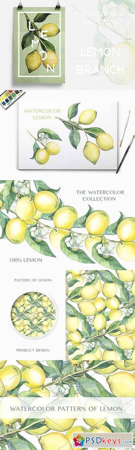 Watercolor lemon branches 287036