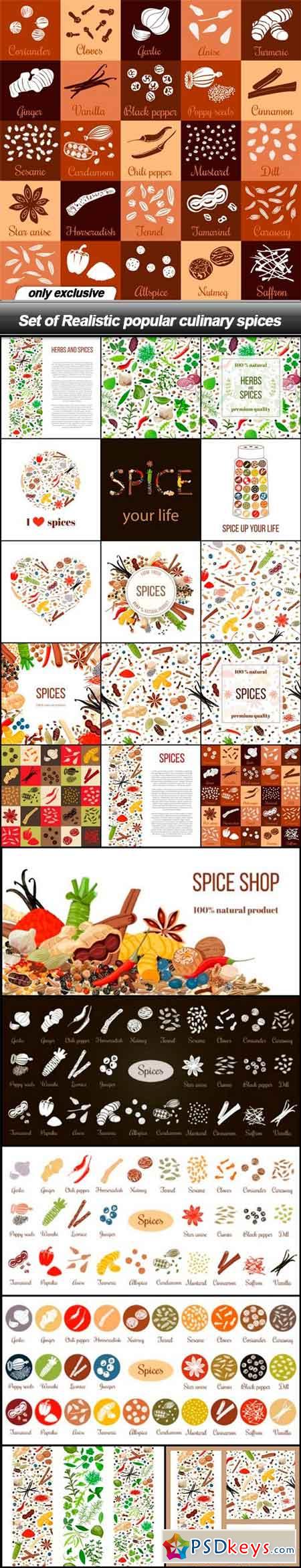 Set of Realistic popular culinary spices - 21 EPS