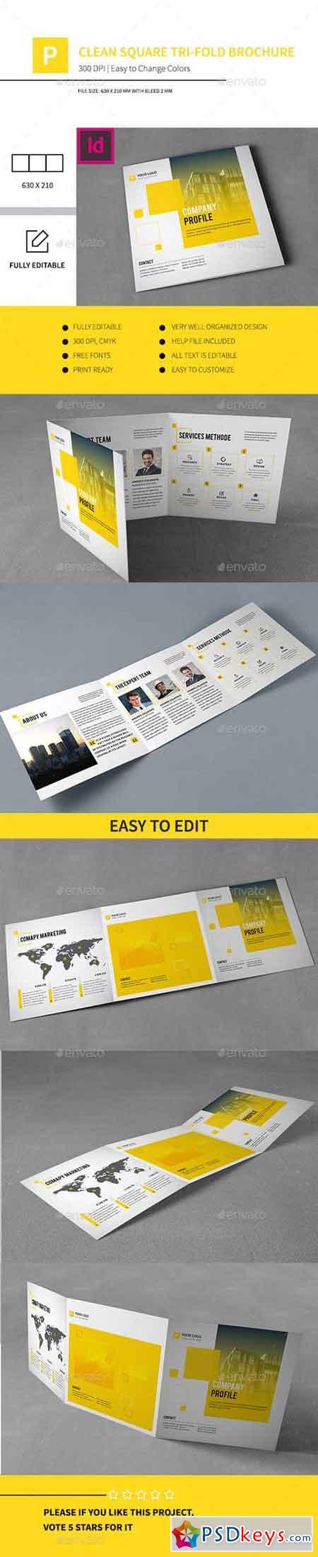 Clean Square Tri-fold Brochure 13482396