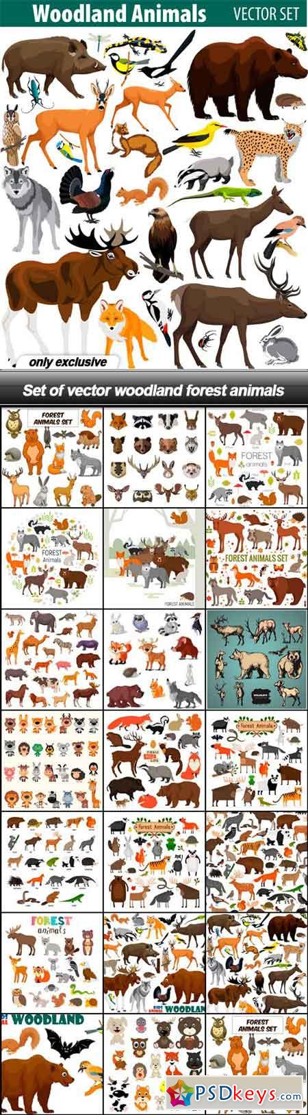 Set of vector woodland forest animals - 20 EPS