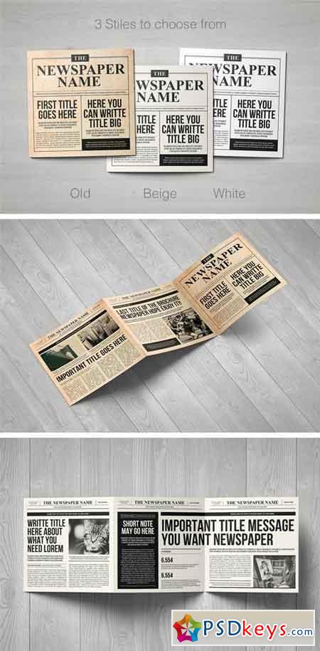 Newspaper Brochure Trifold 1257371