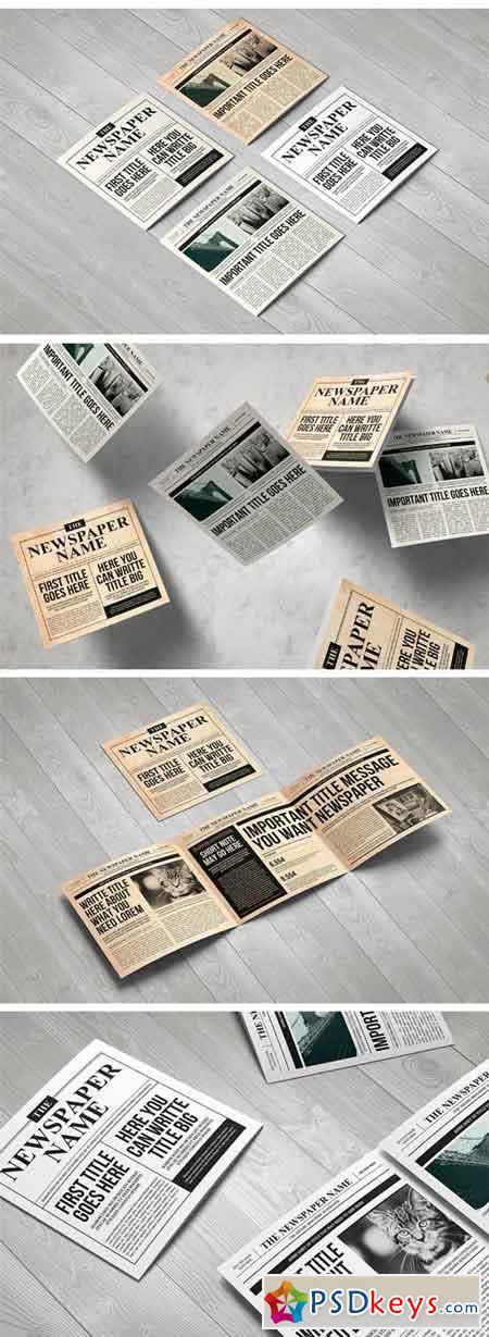 Newspaper Brochure Trifold 1257371