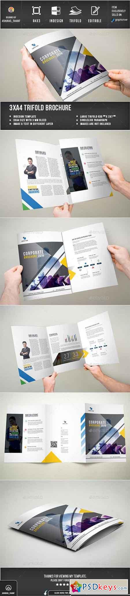 Trifold Brochure 15812750