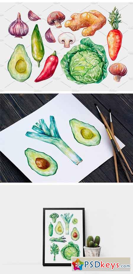 Watercolor Vegetables 1211224