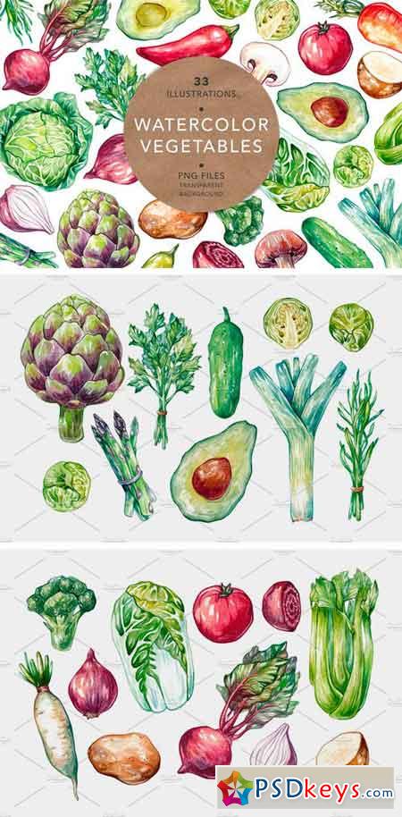 Watercolor Vegetables 1211224