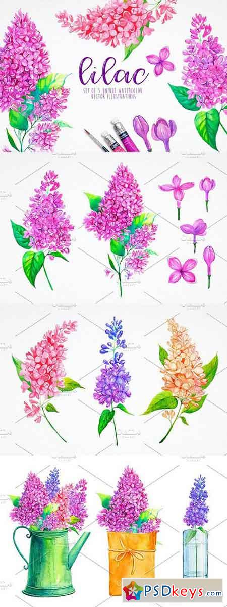 Lilac. Watercolor illustrations. 1276402
