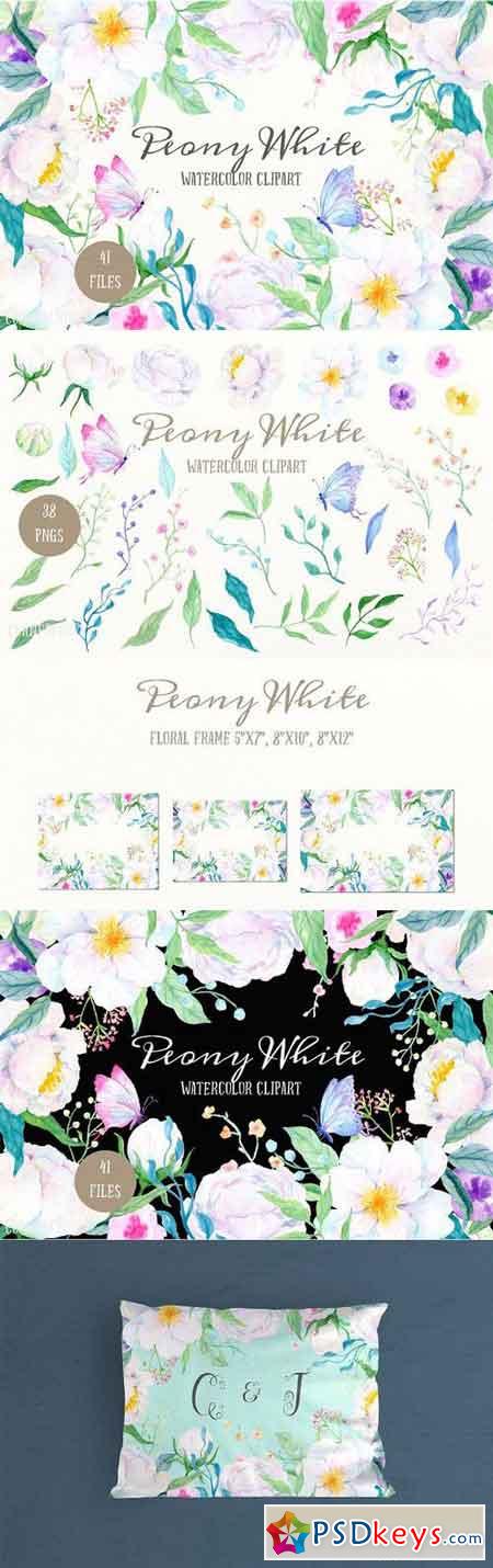Watercolor Clipart Peony White 1173639
