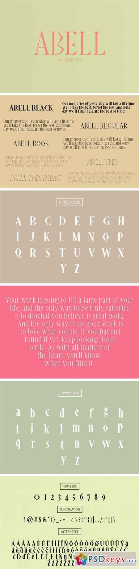 Abell Font Pack 1296682