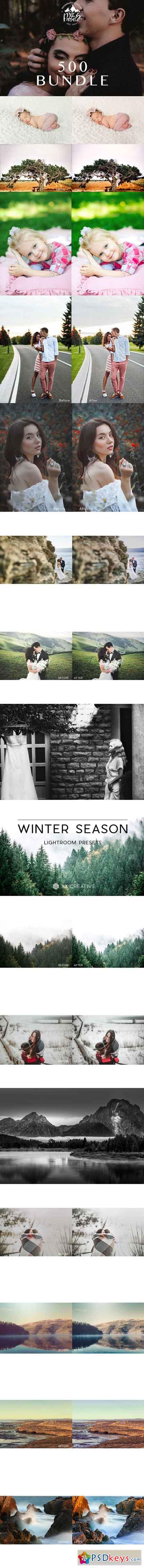 500 Pro Lightroom Preset Bundle 1217843