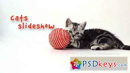 Cats Slideshow 18983291 - After Effects Projects