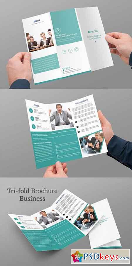 Tri-fold Brochure Business 746806
