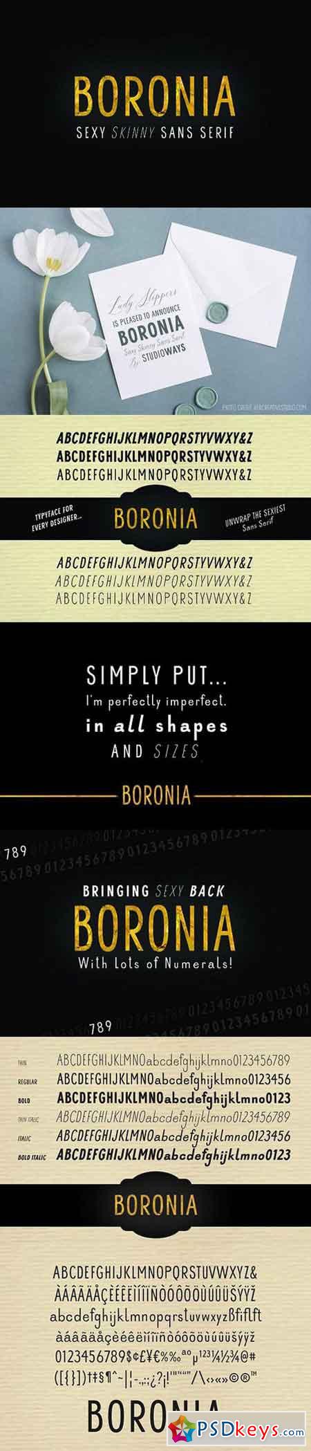 Boronia Sans Serif Fonts 1322398