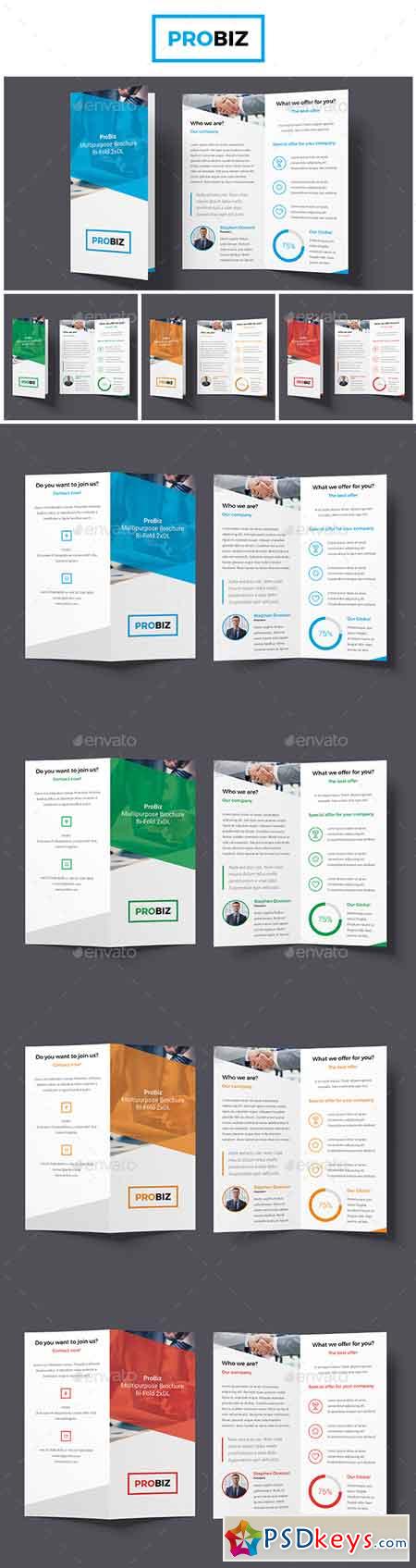 ProBiz  Business and Corporate Brochure Bi-Fold (2xDL) 19125132