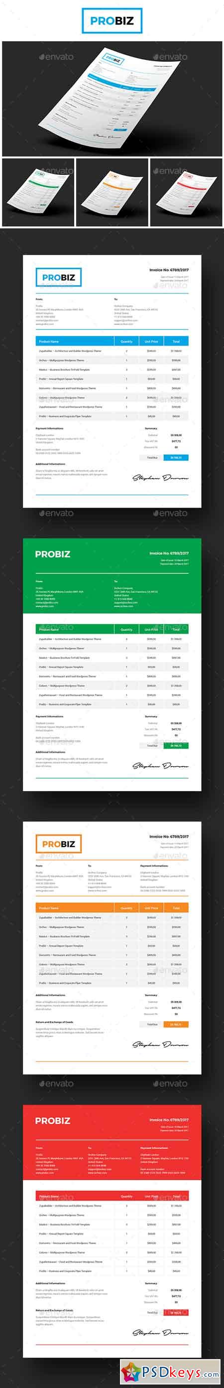 ProBiz  Business and Corporate Invoice 19583382