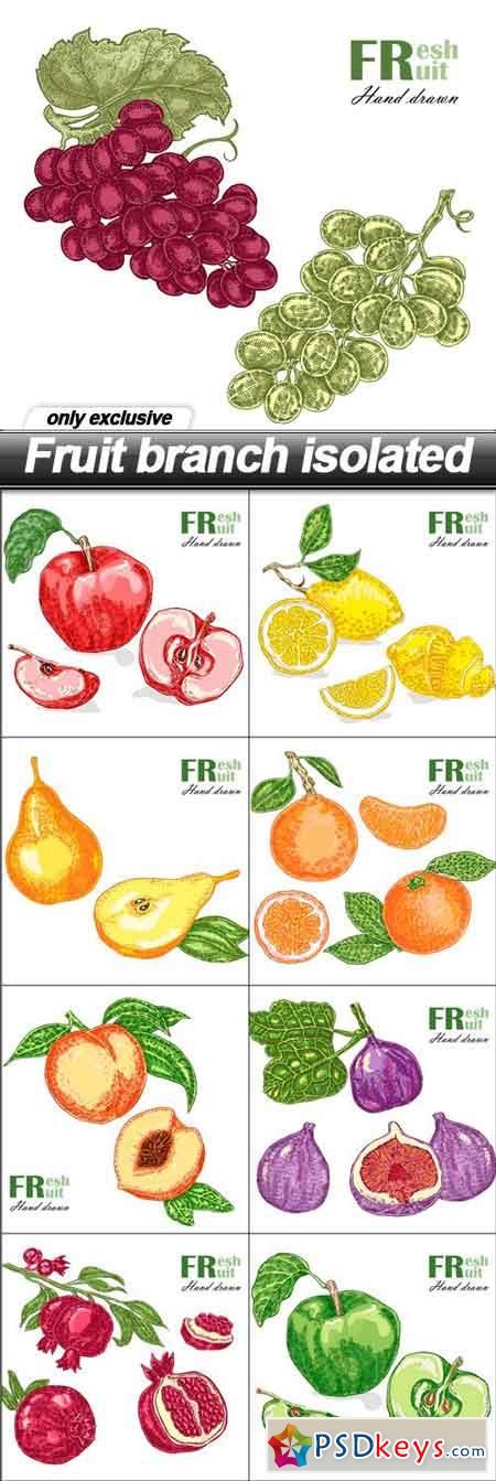Fruit branch isolated - 9 EPS