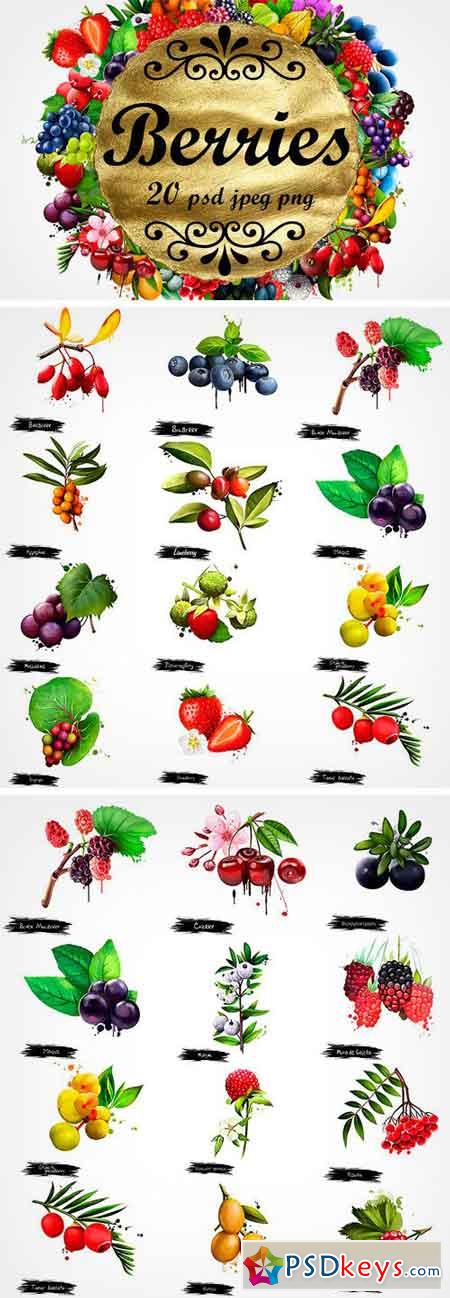Berries Digital Art Collection 2 1297033