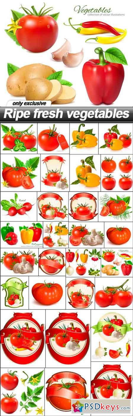 Ripe fresh vegetables - 30 EPS