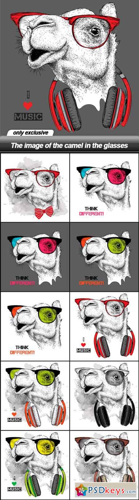 The image of the camel in the glasses - 11 EPS