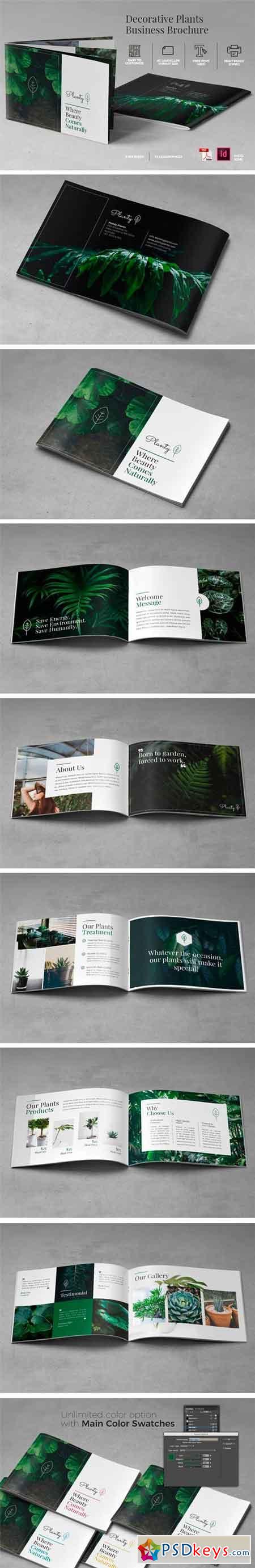 A5 Decorative Plants Brochure 1360741