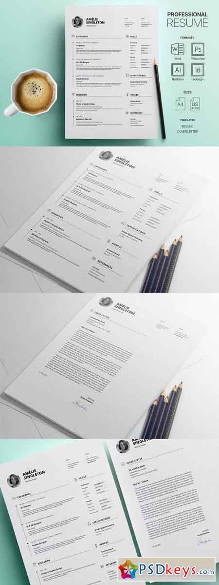 Professional Resume Template 1185191