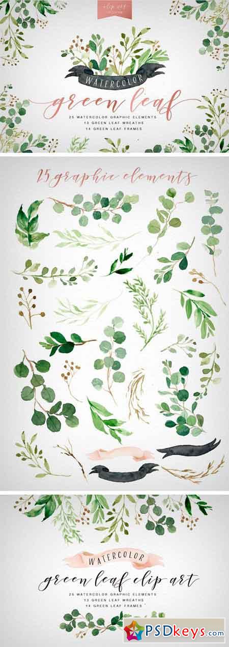 Watercolor Green Leaf Clip Art 1319084