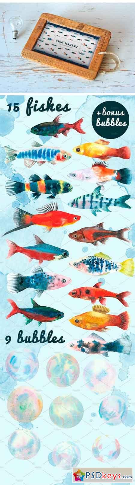 Aquarium Fishes 1380758