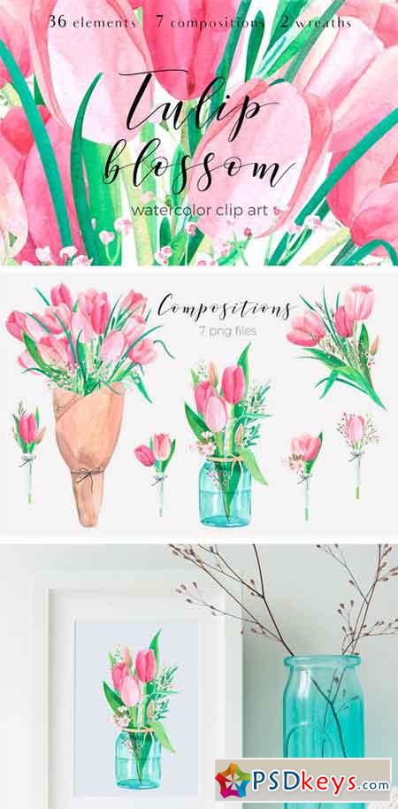Tulip Blossom. Watercolor Clip Art 1380810