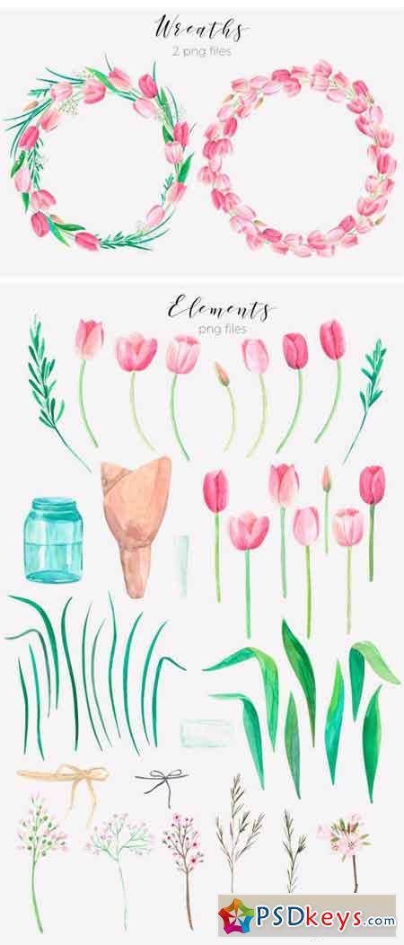 Tulip Blossom. Watercolor Clip Art 1380810