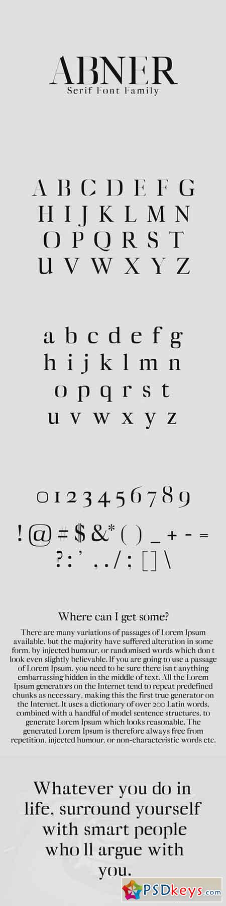 Abner Serif Font Family 1408311