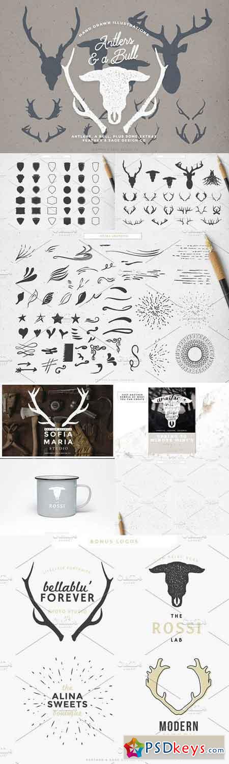 Antlers & a Bull Illustrations 576124
