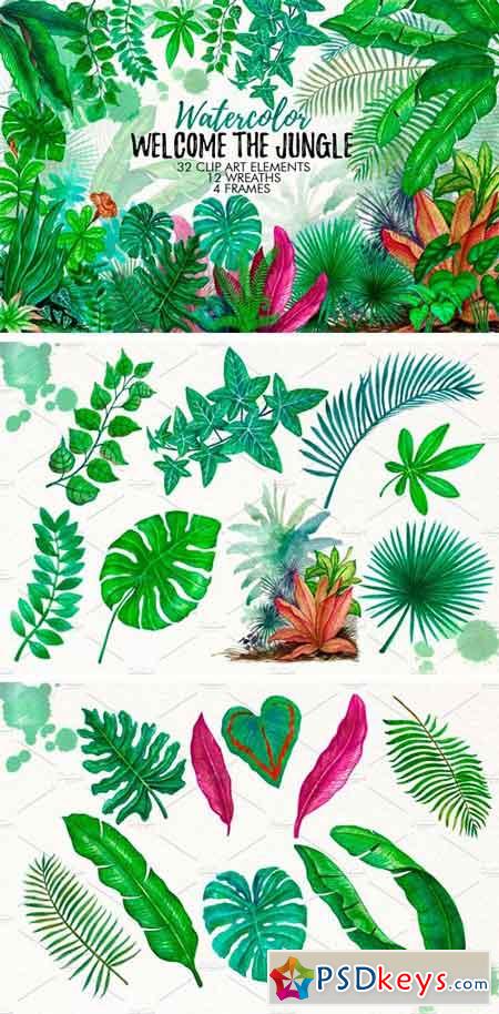 Tropical Leaves in the Jungle 1317444