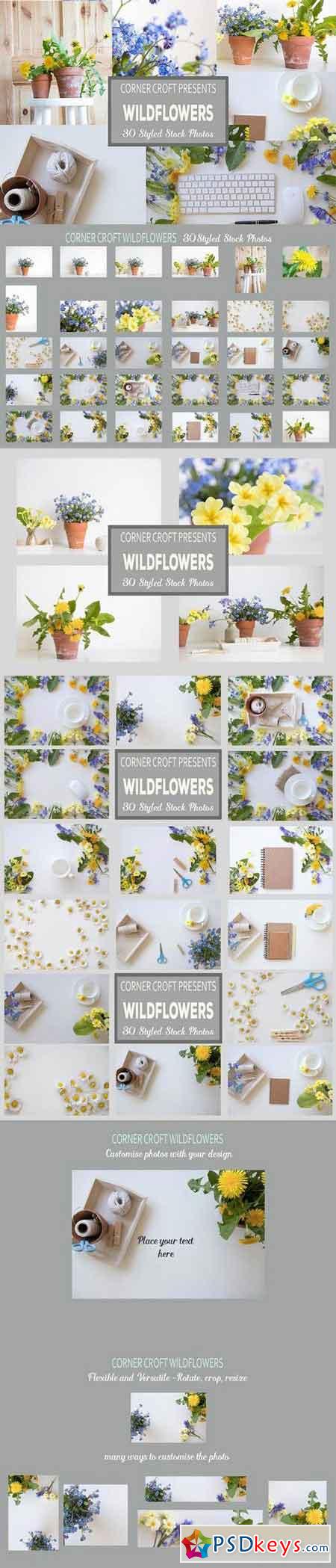 Wildflower Styled Stock Photo Bundle 1478836