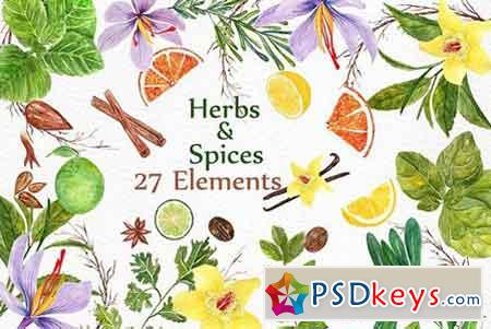watercolor Herbs and spices clipart 1397650