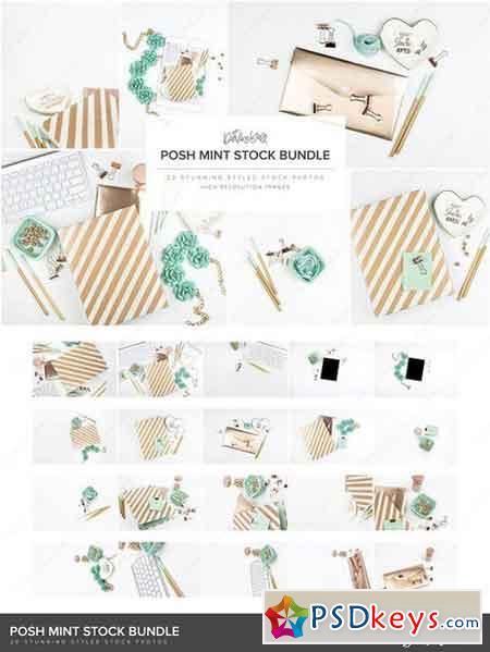 Posh Mint Styled Stock HM 1383279