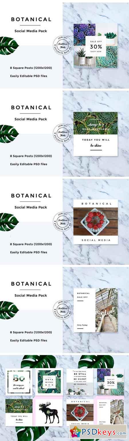Botanical Social Media Pack 1434746