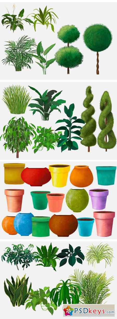 House Plants and Flower Pots + Bonus 1435034