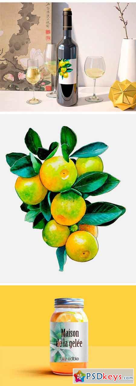 Watercolour Little Mandarins 1432792