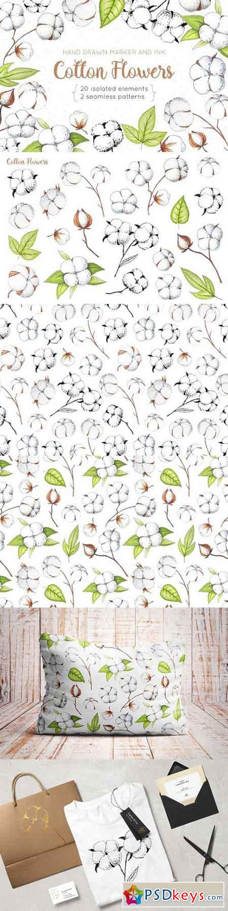 Cotton Flowers Handdrawn Set 1436654