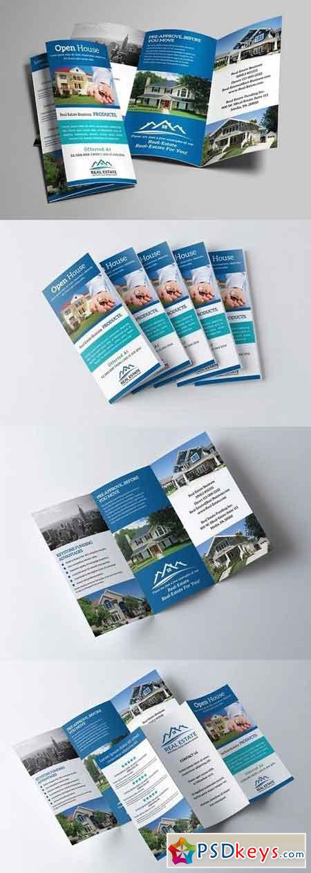 Real Estate Trifold Brochure 1233635