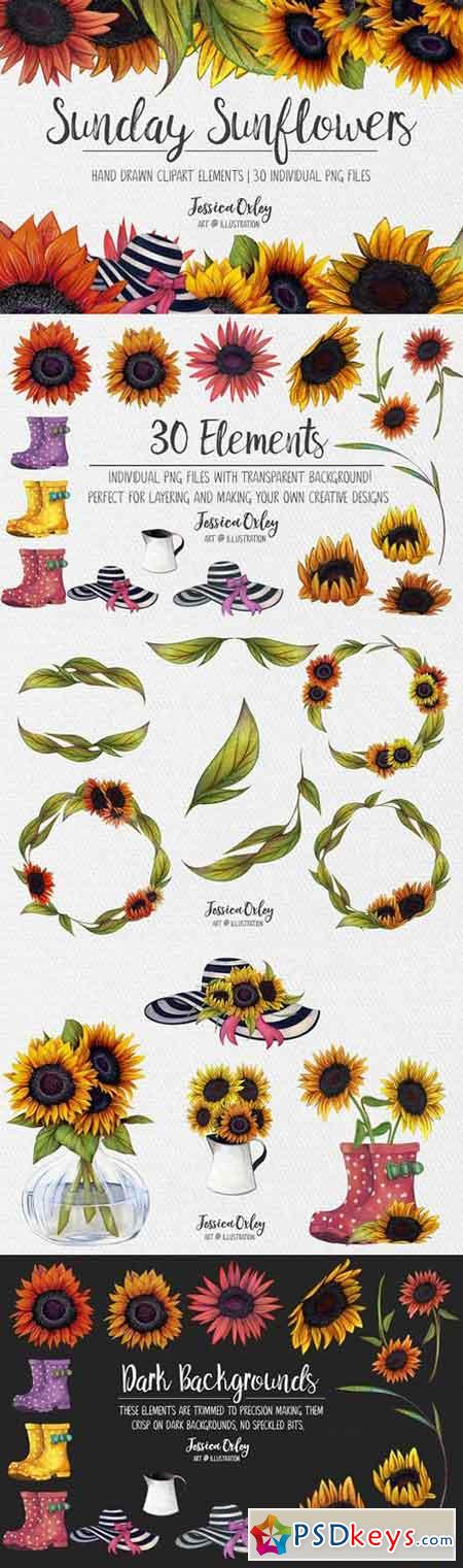 Sunday Sunflowers Hand Drawn Clipart 1448560