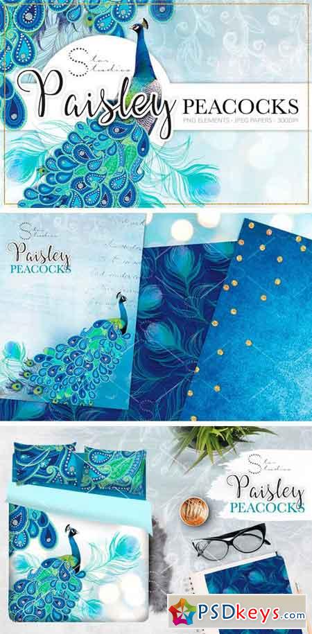 Paisley Peacocks Pack 1459352