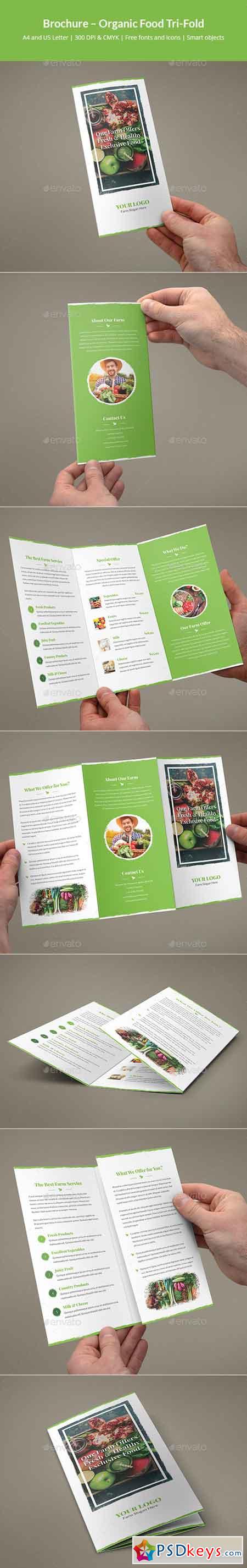 Brochure – Organic Food Tri-Fold 19929196