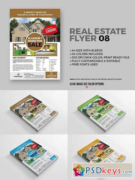 Real Estate Flyer 08
