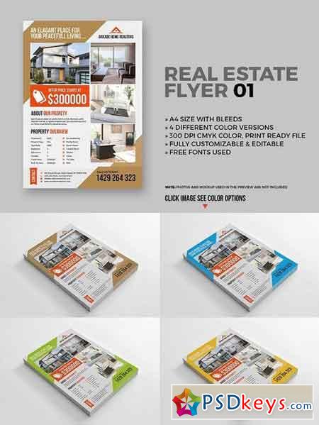 Real Estate Flyer 01