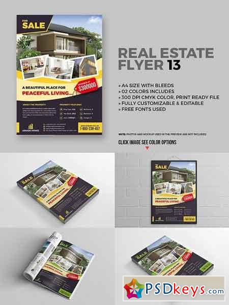 Real Estate Flyer 13