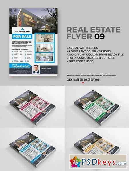 Real Estate Flyer 09